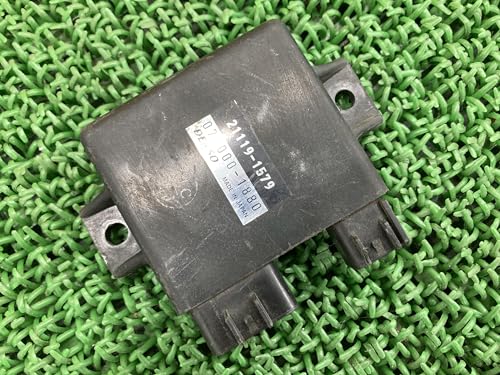 dトラッカー KLX250 イグナイター 51EM0+n+GqL.jpg